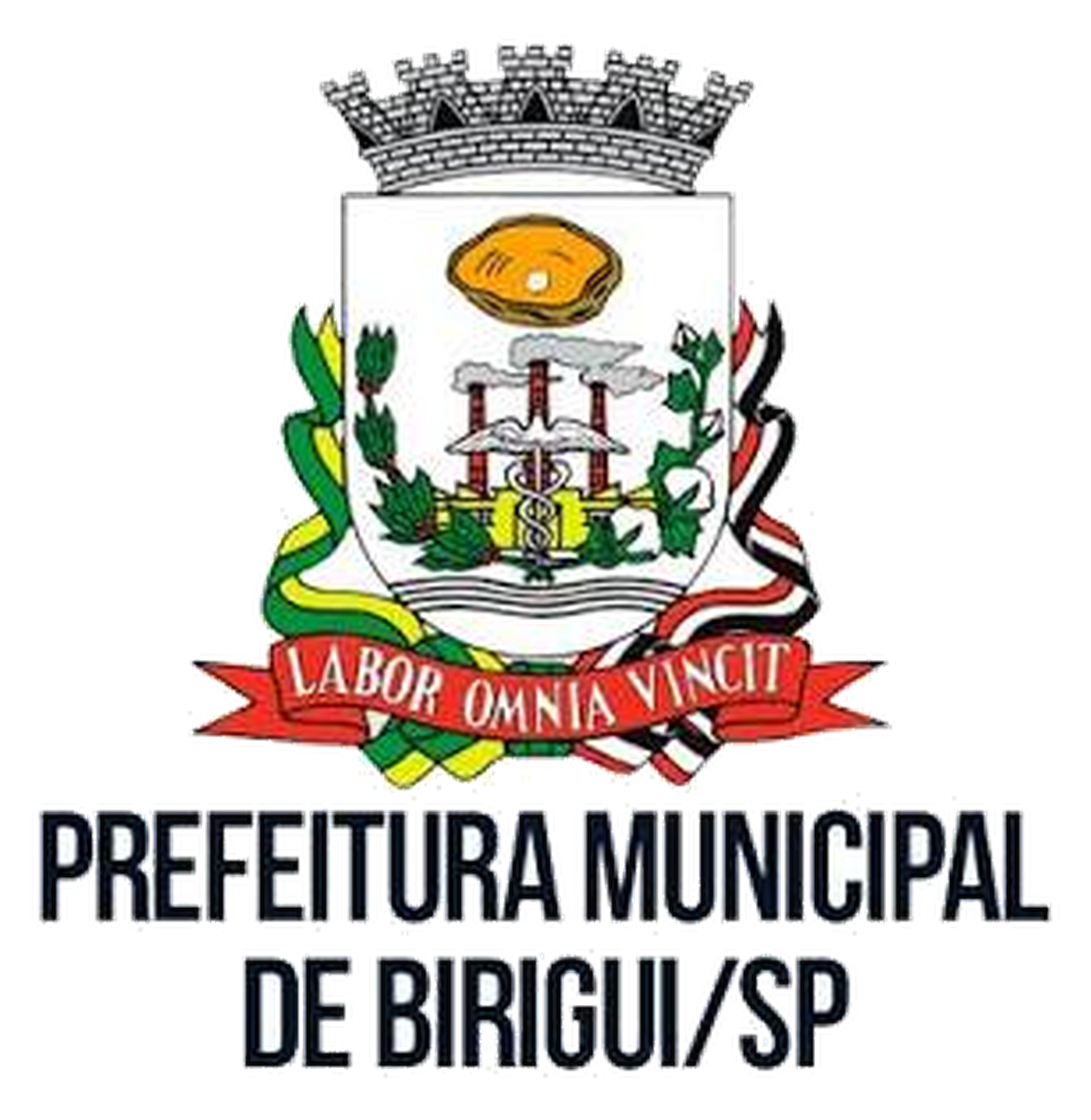 Prefeitura Municipal de Birigui/SP